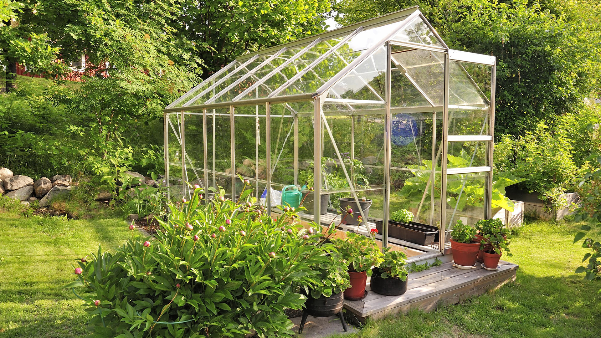 Why Greenhouses Have Become A Popular Trend BUILD Magazine