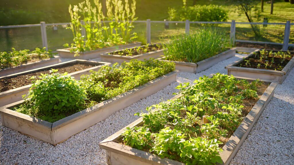 What Is A Sustainable Vegetable Garden