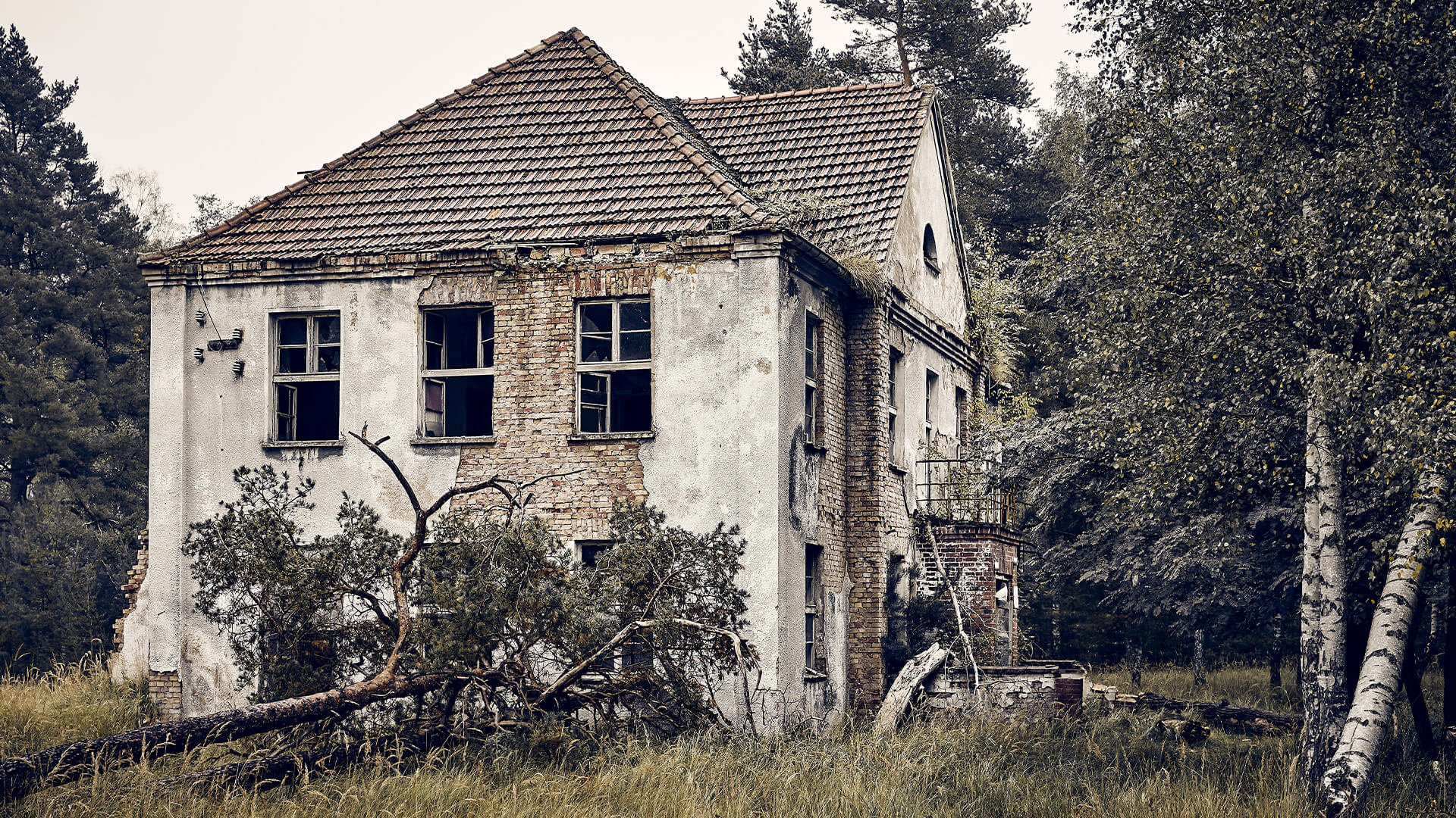 6 Things To Look Out For When Buying An Old House BUILD Magazine